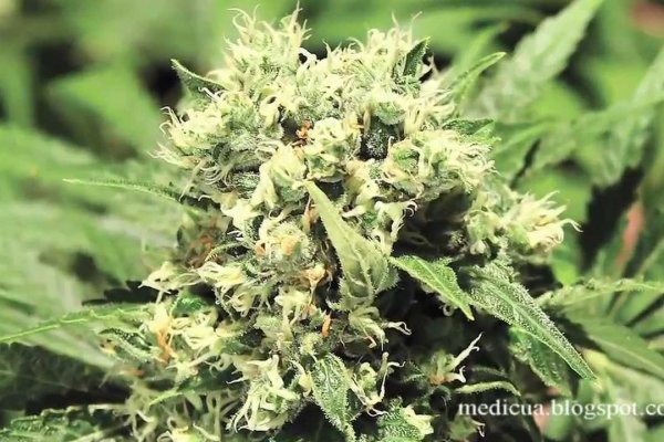 Как войти на сайт кракен