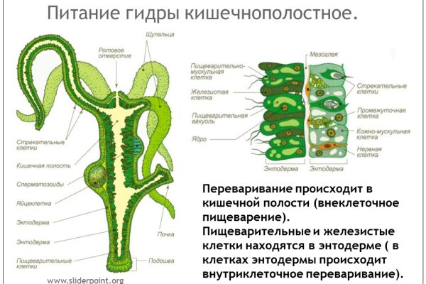 Сайт кракена в торе