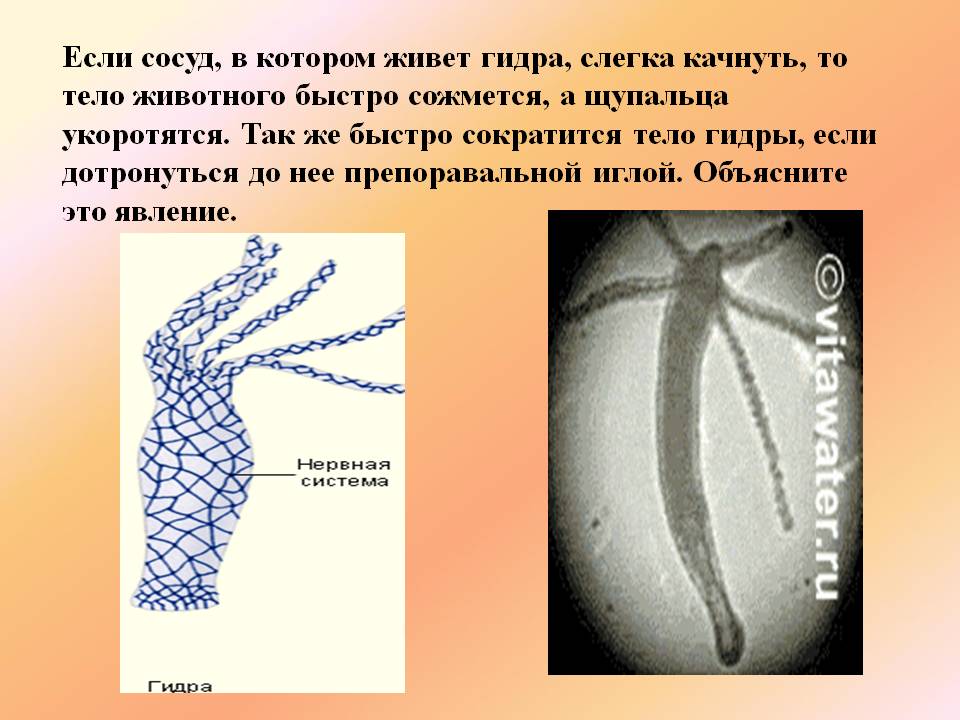 Кракен сбой